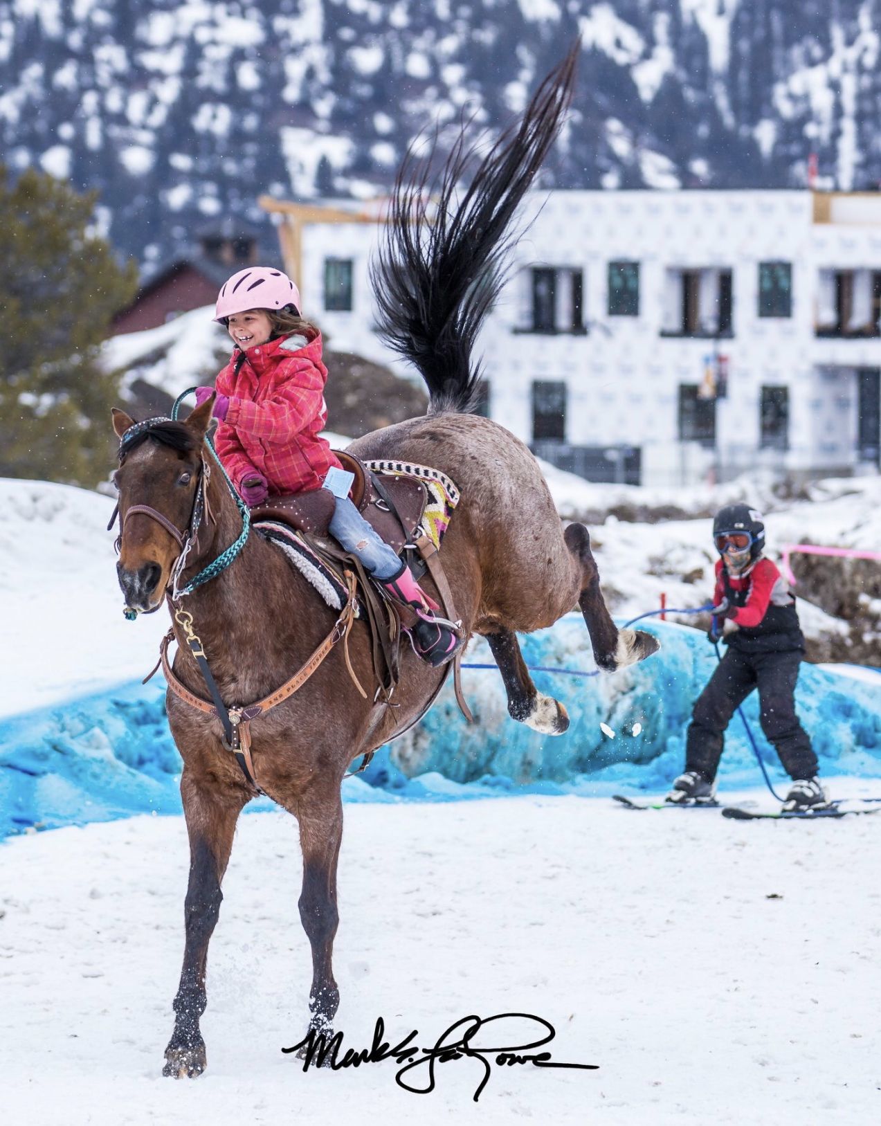 Skijoring 3